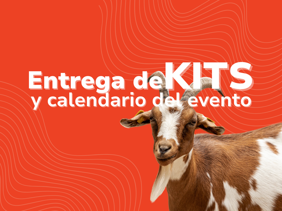 Entrega de kits y cronograma del evento