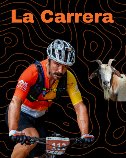 Individual - Carrera